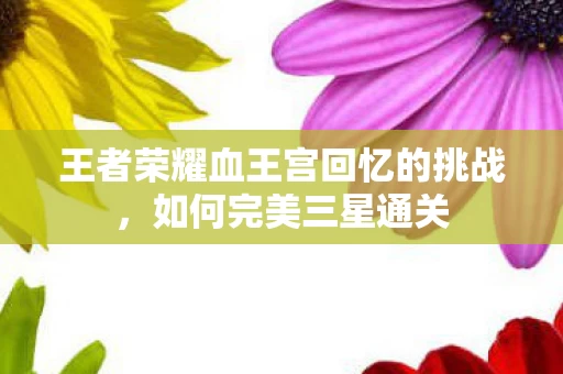 王者荣耀血王宫回忆的挑战图片
