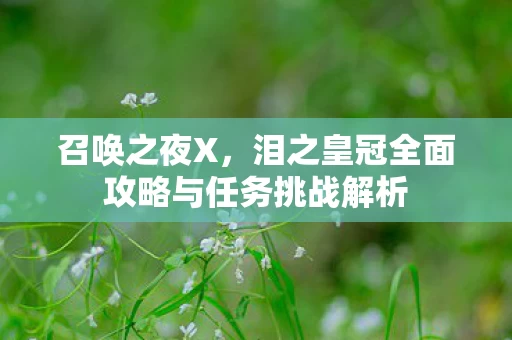 泪之皇冠全面攻略与任务挑战解析图片