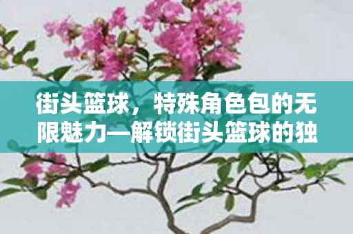 解锁街头篮球的独特风采图片