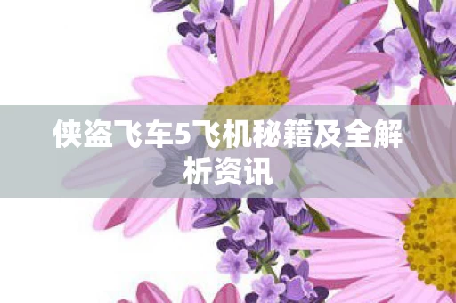 侠盗飞车5飞机秘籍及全解析资讯图片