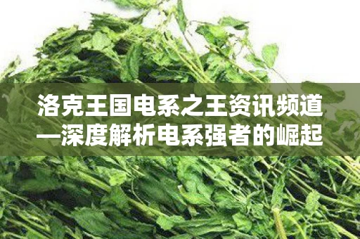 洛克王国电系之王资讯频道图片