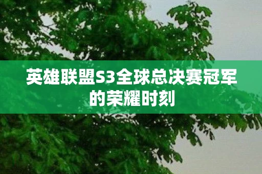 英雄联盟S3全球总决赛冠军的荣耀时刻图片