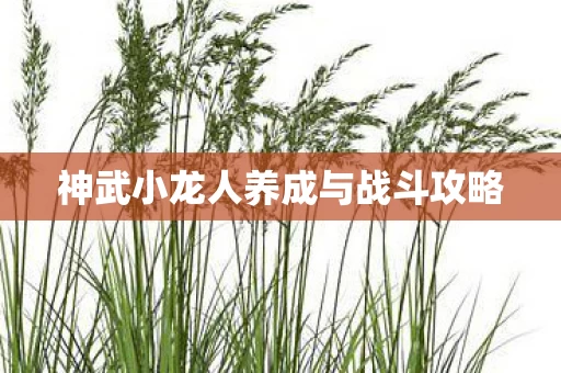 神武小龙人养成与战斗攻略图片