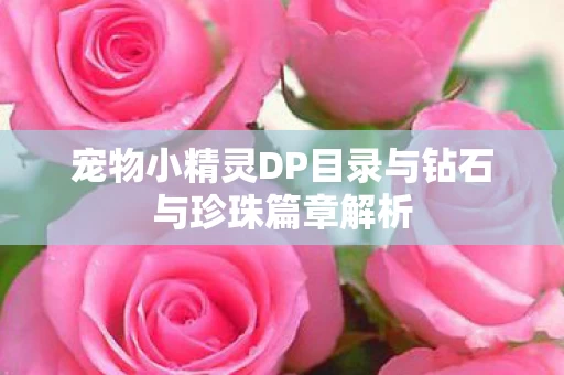 宠物小精灵DP目录与钻石与珍珠篇章解析图片