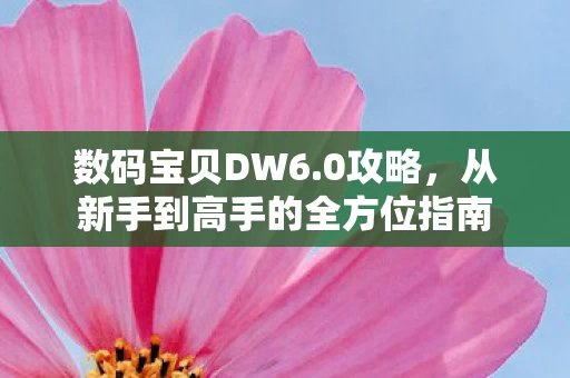 从新手到高手的全方位指南图片