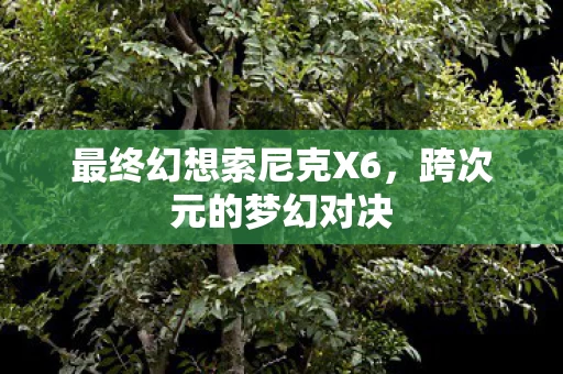 最终幻想索尼克X6图片