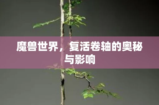 复活卷轴的奥秘与影响图片