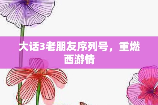 大话3老朋友序列号图片