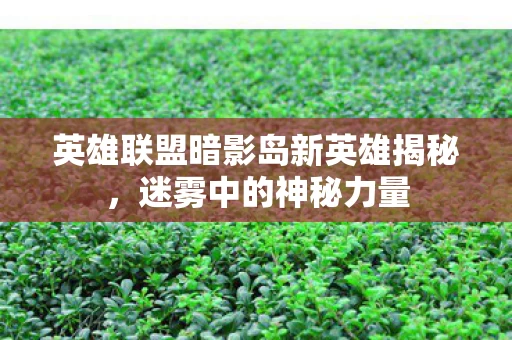 英雄联盟暗影岛新英雄揭秘图片