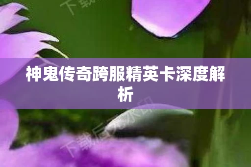 神鬼传奇跨服精英卡深度解析图片
