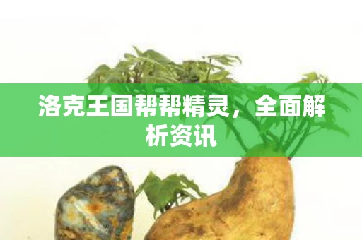 洛克王国帮帮精灵图片