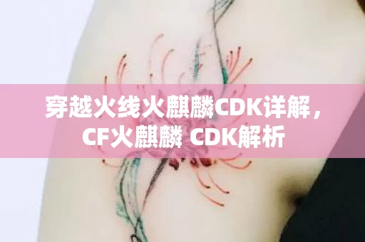 穿越火线火麒麟CDK详解图片