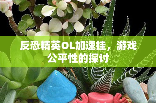 反恐精英OL加速挂图片