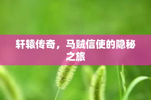 马贼信使的隐秘之旅图片