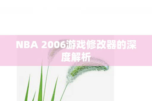 NBA 2006游戏修改器的深度解析图片
