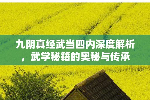 九阴真经武当四内深度解析图片