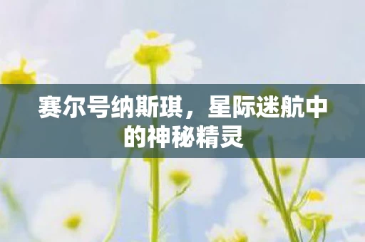 星际迷航中的神秘精灵图片
