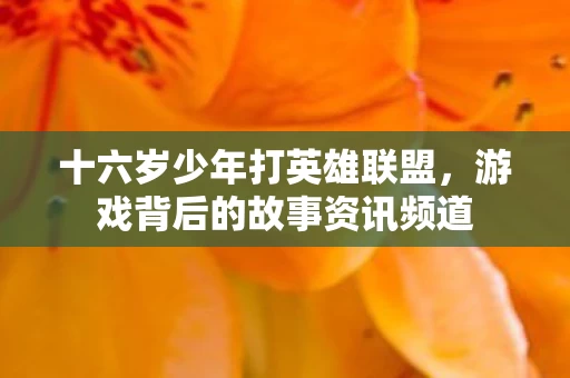 游戏背后的故事资讯频道图片