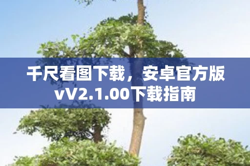 安卓官方版vV2图片