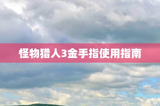 怪物猎人3金手指使用指南图片