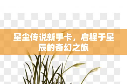 启程于星辰的奇幻之旅图片