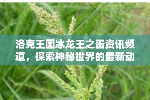 洛克王国冰龙王之蛋资讯频道图片