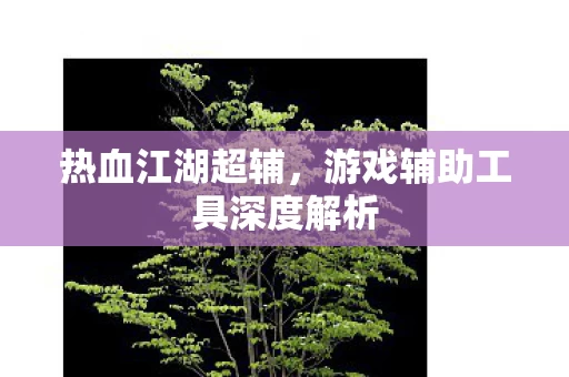 游戏辅助工具深度解析图片