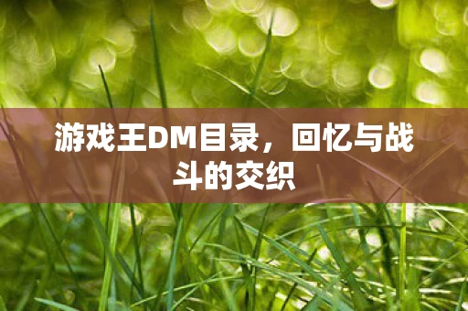 回忆与战斗的交织图片