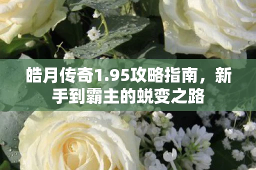 新手到霸主的蜕变之路图片