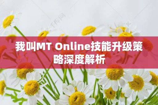 我叫MT Online技能升级策略深度解析图片