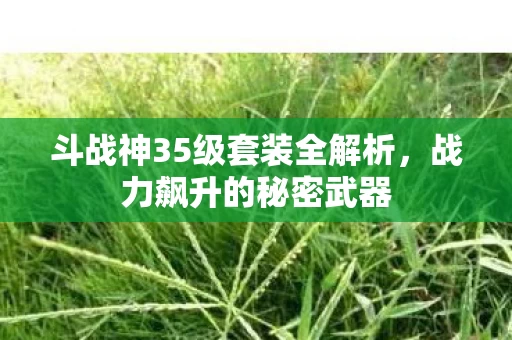 斗战神35级套装全解析图片