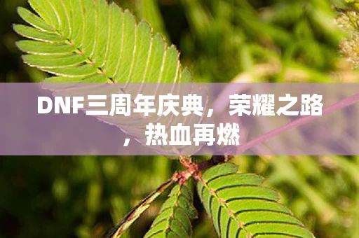 DNF三周年庆典图片