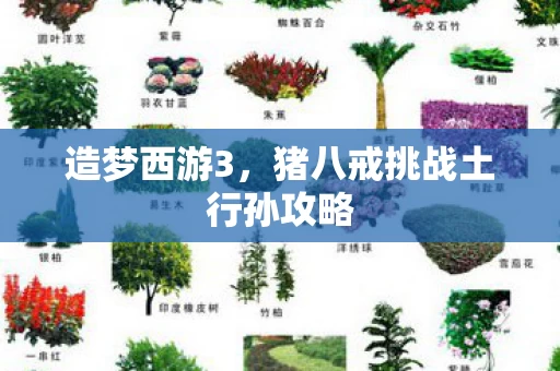猪八戒挑战土行孙攻略图片