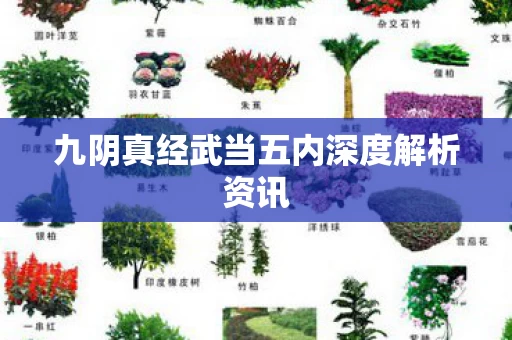 九阴真经武当五内深度解析资讯图片