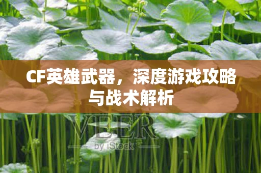 深度游戏攻略与战术解析图片