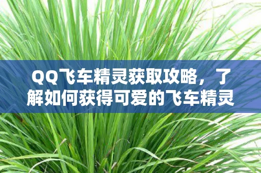 了解如何获得可爱的飞车精灵图片