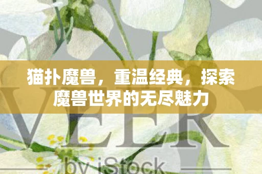 探索魔兽世界的无尽魅力图片