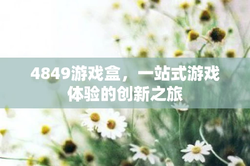 一站式游戏体验的创新之旅图片