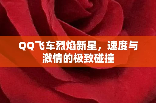 速度与激情的极致碰撞图片