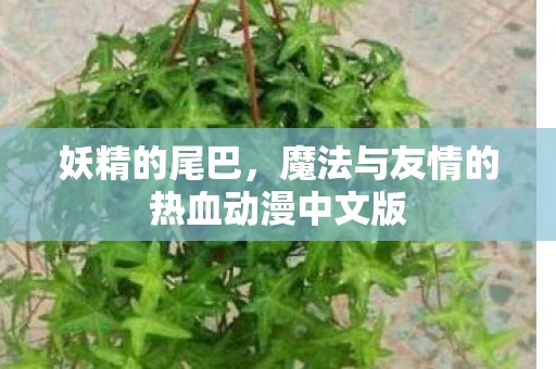 魔法与友情的热血动漫中文版图片