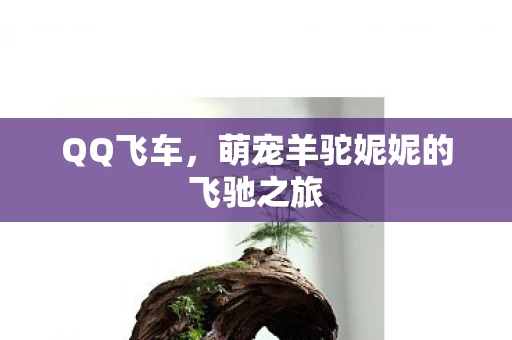 萌宠羊驼妮妮的飞驰之旅图片
