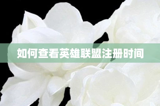 如何查看英雄联盟注册时间图片