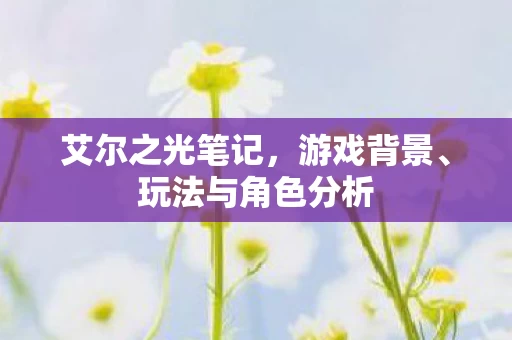 玩法与角色分析图片
