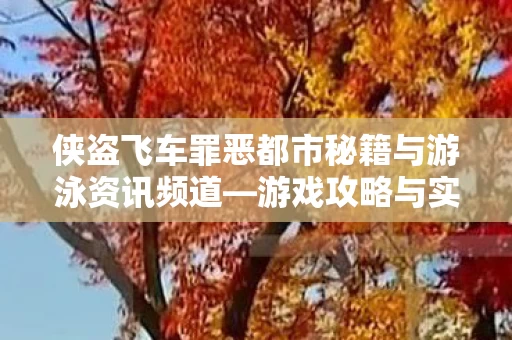 侠盗飞车罪恶都市秘籍与游泳资讯频道图片