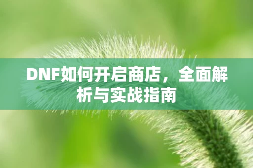 DNF如何开启商店图片