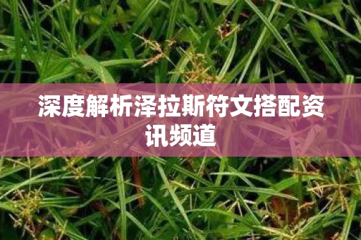 深度解析泽拉斯符文搭配资讯频道图片