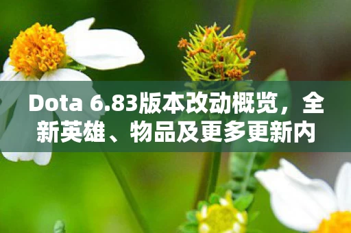 物品及更多更新内容图片