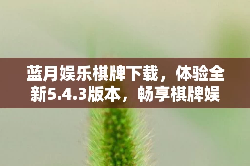 畅享棋牌娱乐APP的魅力图片