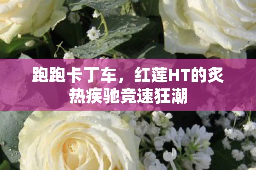 红莲HT的炙热疾驰竞速狂潮图片