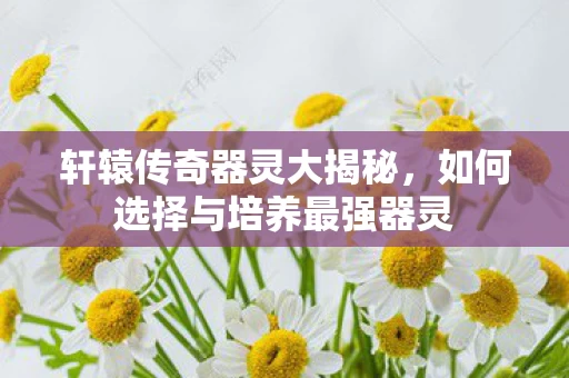 如何选择与培养最强器灵图片